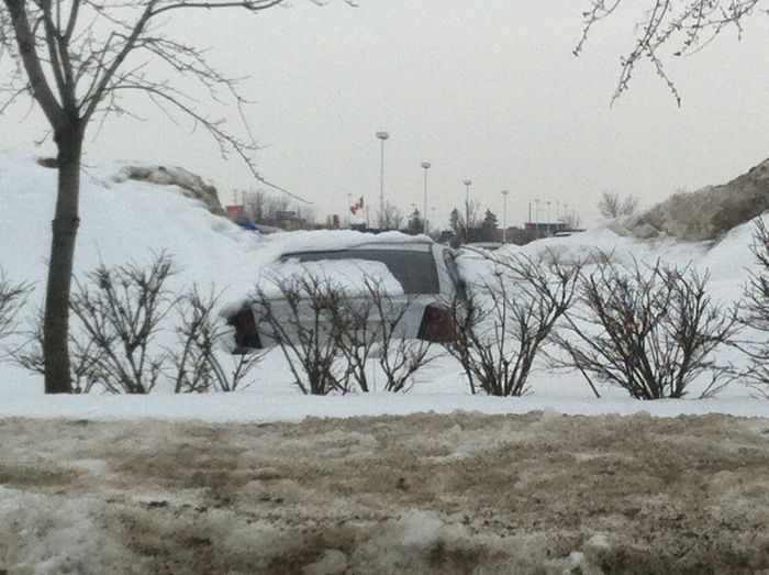 Car Frozen In Snowbank (3 pics)