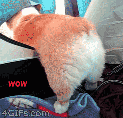 Did It Ever Happen to You When... Part 80 (16 gifs)