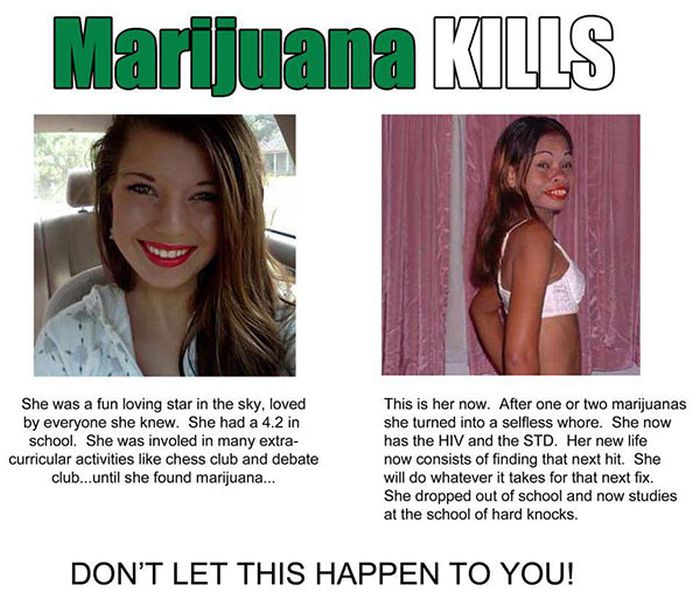 Marijuana Disinformation (20 pics)