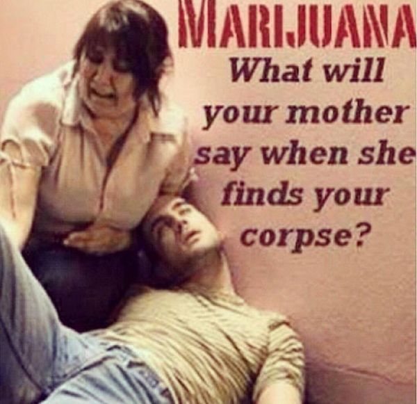 Marijuana Disinformation (20 pics)