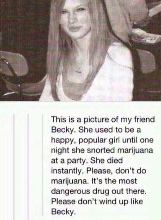 Marijuana Disinformation (20 pics)