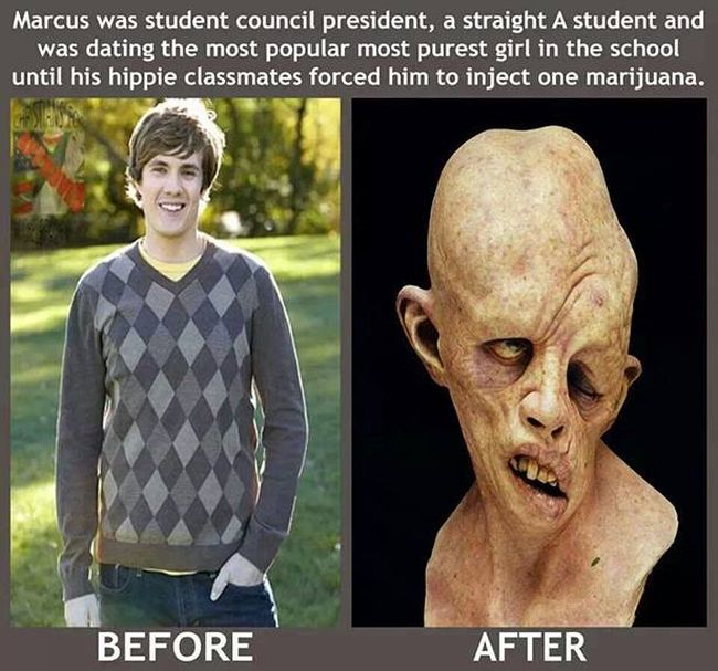 Marijuana Disinformation (20 pics)