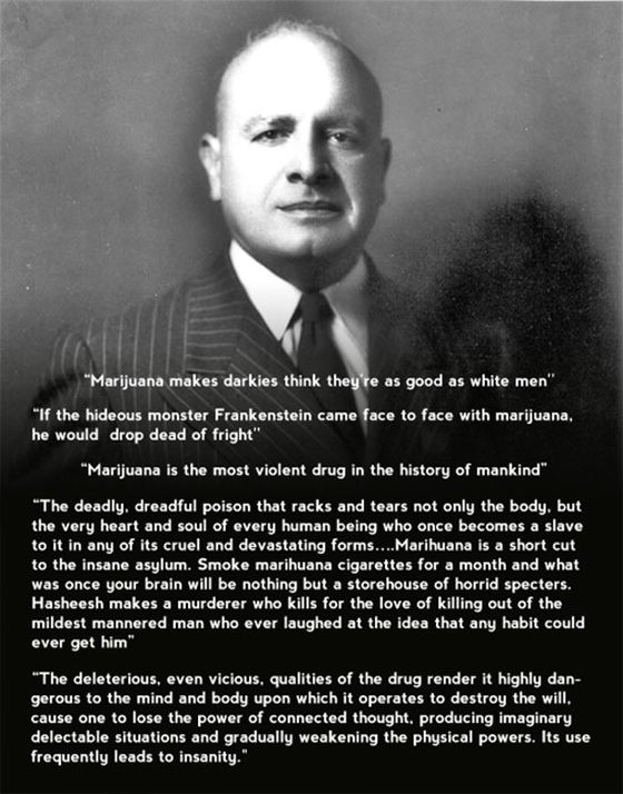 Marijuana Disinformation (20 pics)