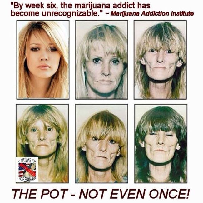 Marijuana Disinformation (20 pics)