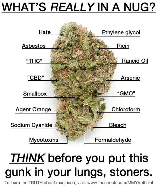 Marijuana Disinformation (20 pics)