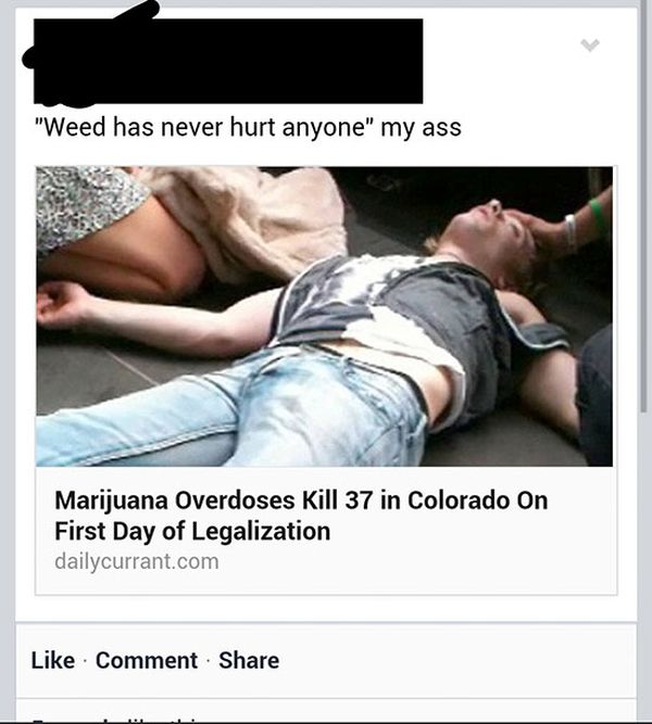 Marijuana Disinformation (20 pics)