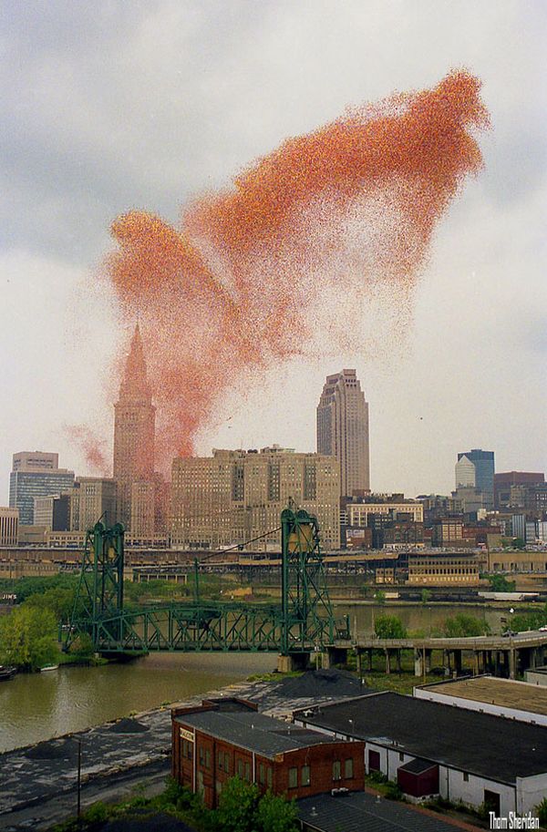 Balloonfest 1986 Disaster (9 pics)