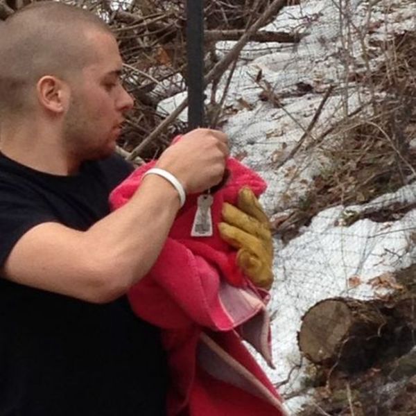 Saving an Owl (6 pics)