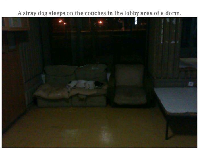 The Worst Student Dormitory in the World (33 pics)