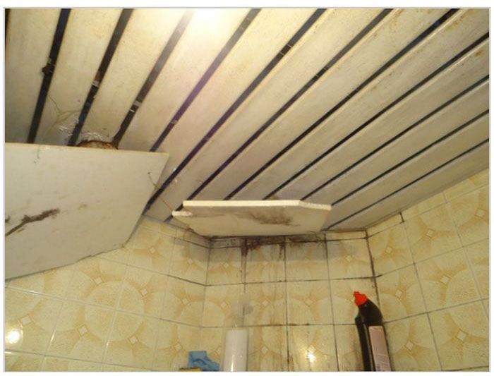 The Worst Student Dormitory in the World (33 pics)