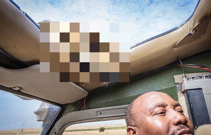 Why You Should Always Close Your Car's Sunroof on Safari (5 pics)