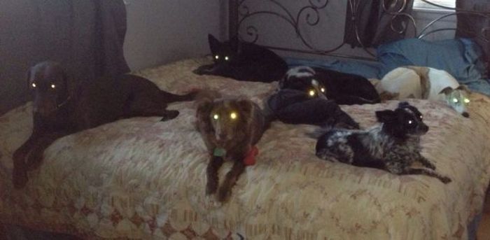 Acid Picdump (122 pics)