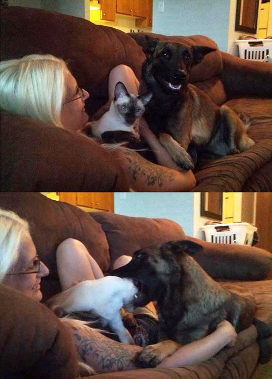 Acid Picdump (122 pics)