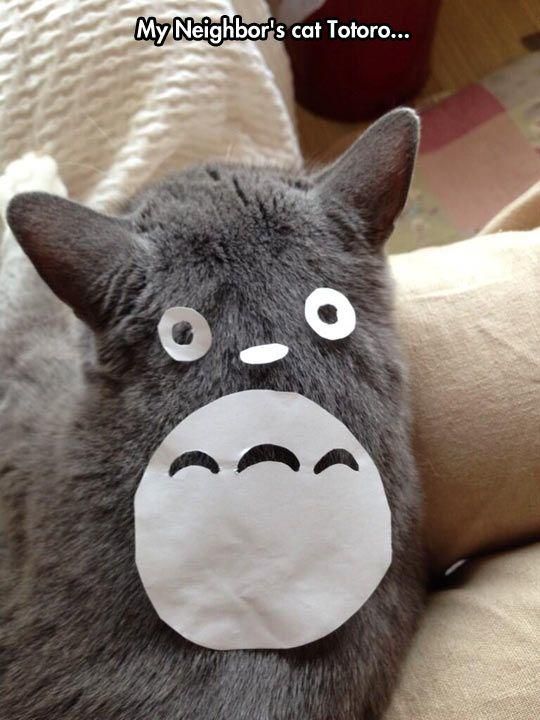 Acid Picdump (122 pics)