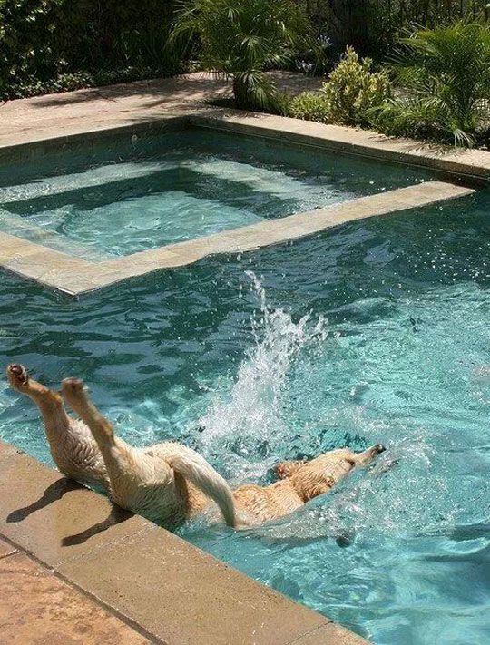 Acid Picdump (122 pics)