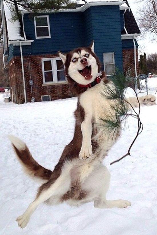 Acid Picdump (122 pics)