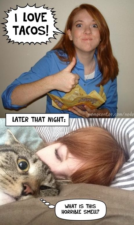 Acid Picdump (122 pics)