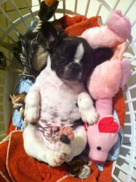 Acid Picdump (122 pics)