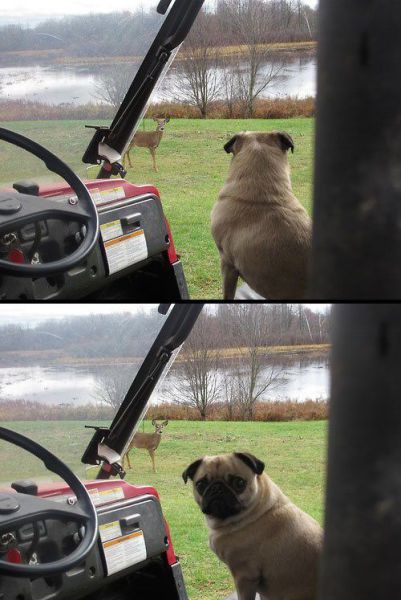 Acid Picdump (122 pics)