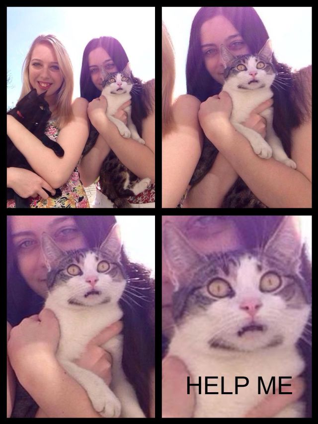Acid Picdump (122 pics)