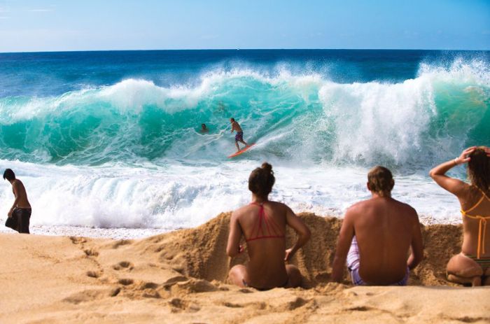 Life is awesome! Part 6 (27 pics)