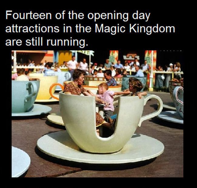 Interesting Facts About Disney Parks (10 pics)