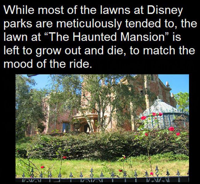 Interesting Facts About Disney Parks (10 pics)