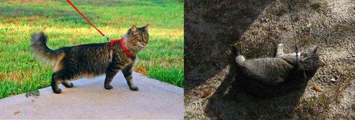 Expectations Vs. Reality. Part 4 (45 pics)