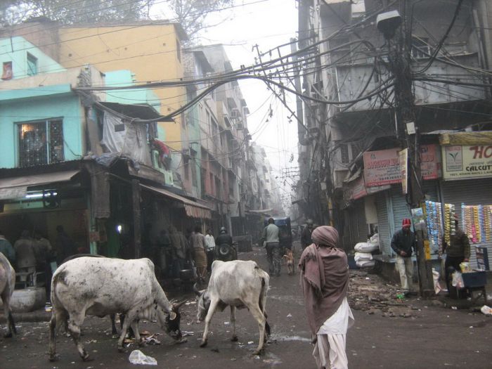 The Other Side Of India 55 Pics 