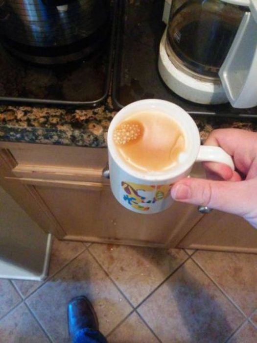 It’s All Fun and Games Until This Happens! (50 pics)