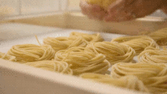 The Making of Pasta (10 gifs)