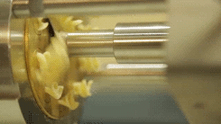 The Making of Pasta (10 gifs)