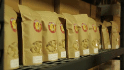 The Making of Pasta (10 gifs)