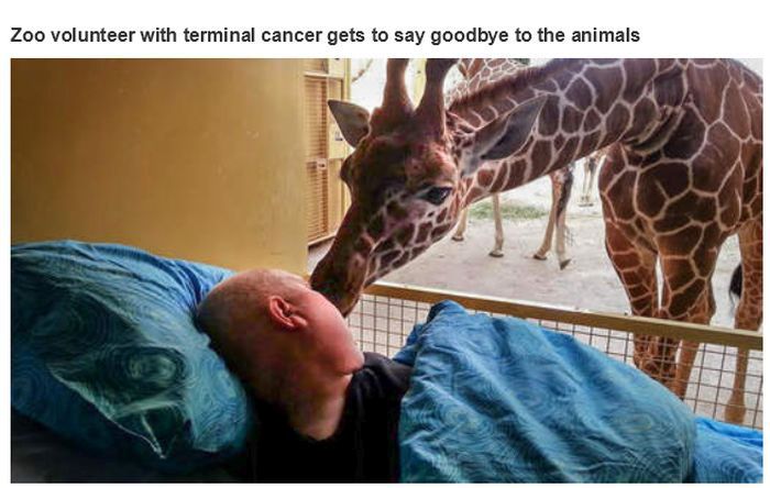 Powerful Pictures (21 pics)