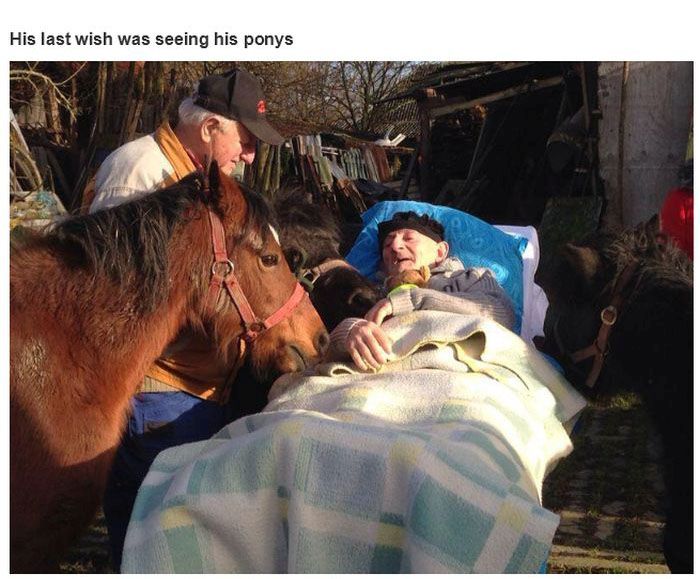 Powerful Pictures (21 pics)