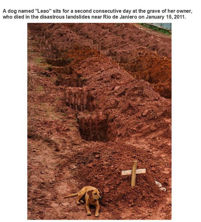 Powerful Pictures (21 pics)