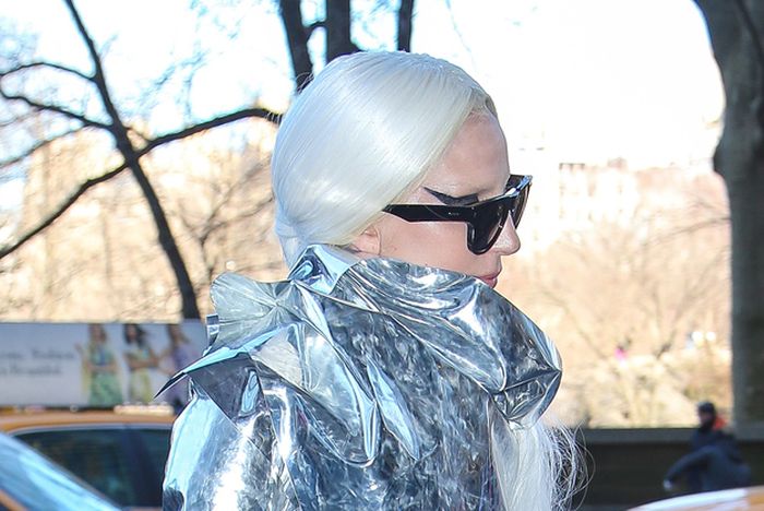 Lady Gaga Wraps Herself (5 pics)
