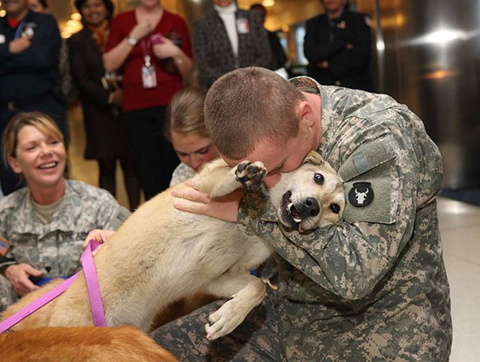 Returning Home From War (24 pics)