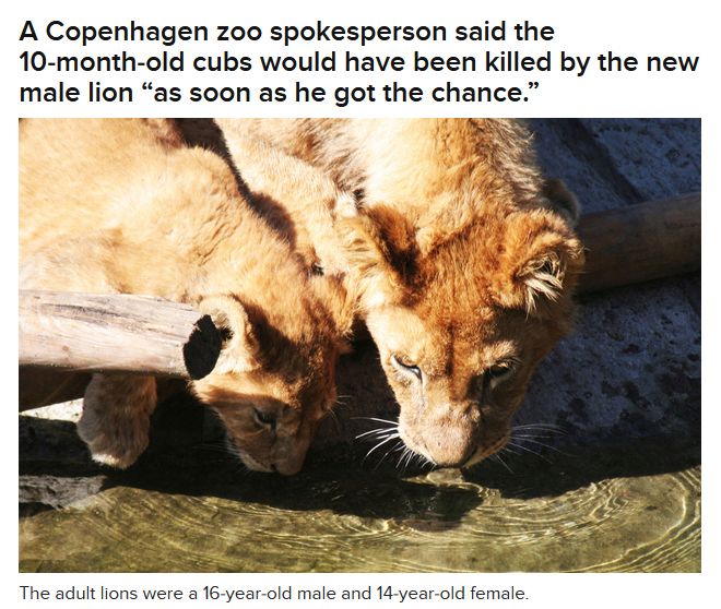 The Copenhagen Zoo Continues to Slaughter Animals (6 pics)