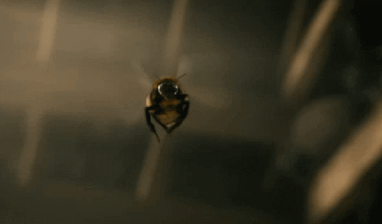Acid Gifdump, March 28, 2014 (25 gifs)