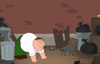 Acid Gifdump, March 28, 2014 (25 gifs)
