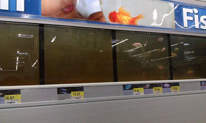 Only in Walmart (37 pics)