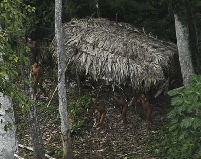 Startled Amazon Tribesmen (5 pics)