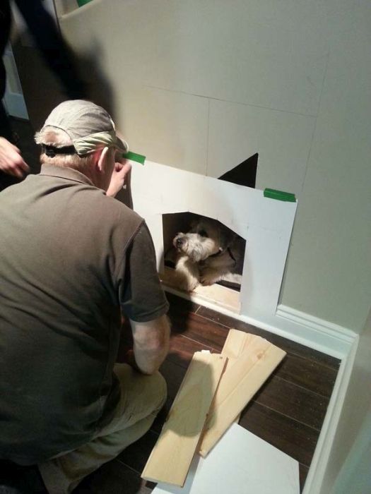 House for a Dog (22 pics)
