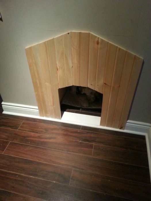 House for a Dog (22 pics)