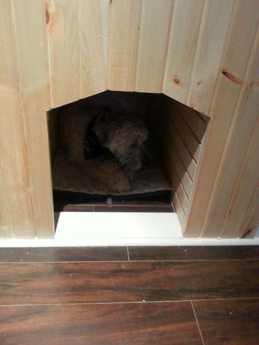 House for a Dog (22 pics)