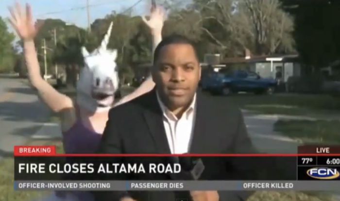 Best News Bloopers March 2014