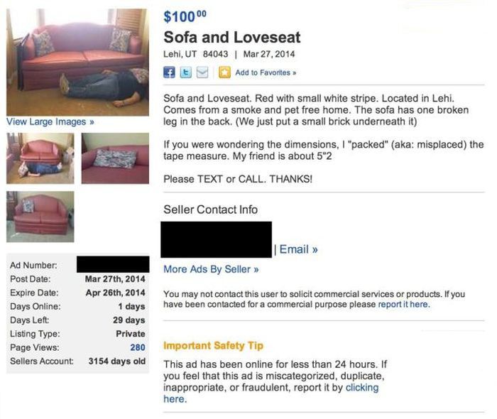 Sofa and Loveseat (3 pics)