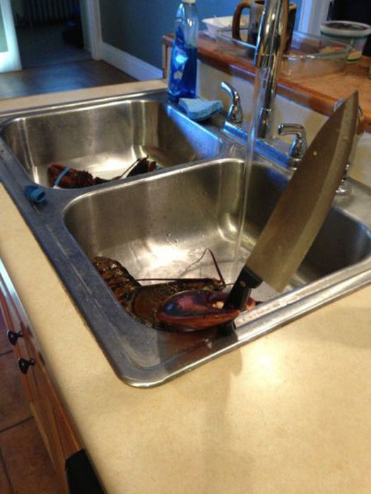 Kitchen Disasters (37 pics)