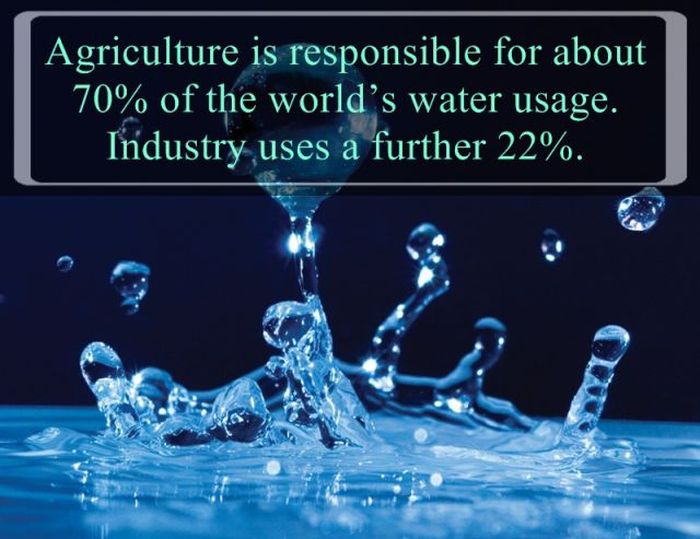 Interesting Facts about Water (25 pics)